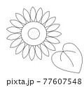 ひまわり_線画 77607548