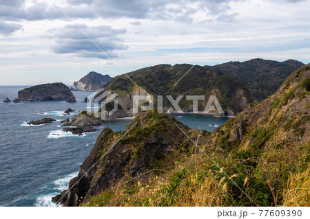 ススキと島と駿河湾 ススキと島と駿河湾 77609390