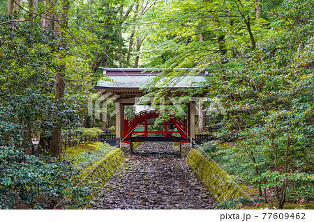 彌彦神社の玉の橋 77609462