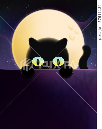 Vector Black Cat under Moonlight Illustration.  77611184