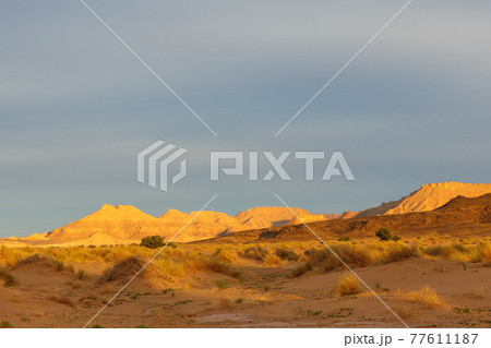 Sunset in the Sahara Desert Sunset in the Sahara Desert 77611187