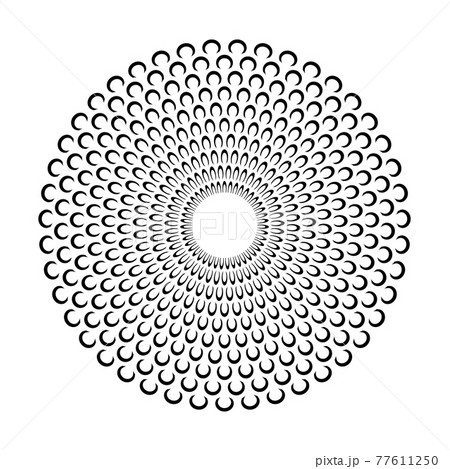 Abstract decorative circle floral pattern. 77611250