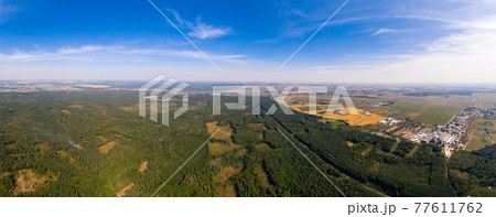 Deforestation, large-scale deforestation, destruction of the environment, deterioration of the environment in Ukraine. 77611762