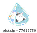 夏色猫ベッドでリラックスする猫 77612759