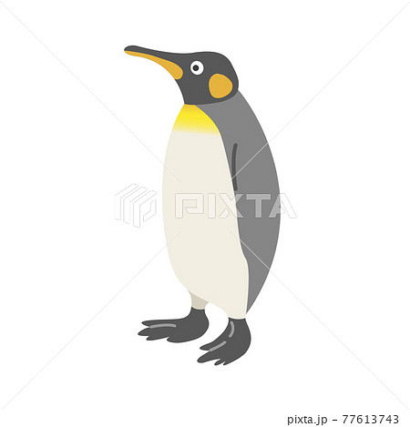ペンギンのイラストのイラスト素材 ペンギンのイラストのイラスト素材