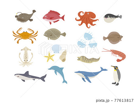 海の生き物のイラストセット 海の生き物のイラストセット 77613817