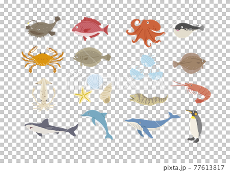 Illustration set of sea creatures 77613817