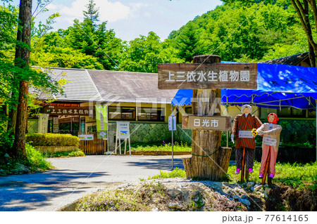 上三依水生植物園 77614165