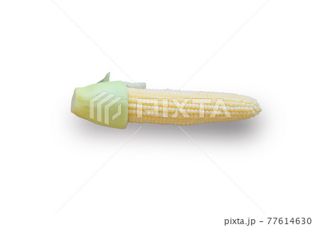 Fresh baby corn isolate on white background. Fresh baby corn isolate on white background. 77614630