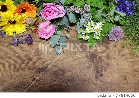 ハーブの花いっぱい 77614656