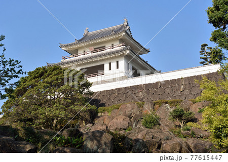 竹崎城址展望台 77615447