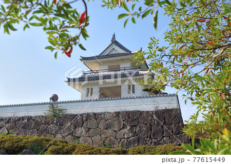 竹崎城址展望台 77615449