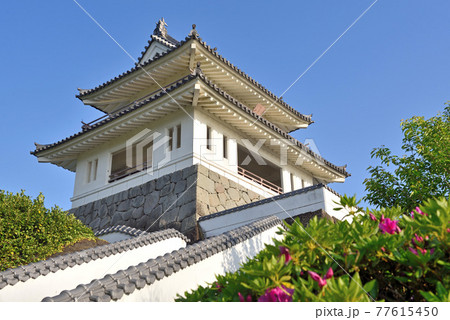 竹崎城址展望台 77615450