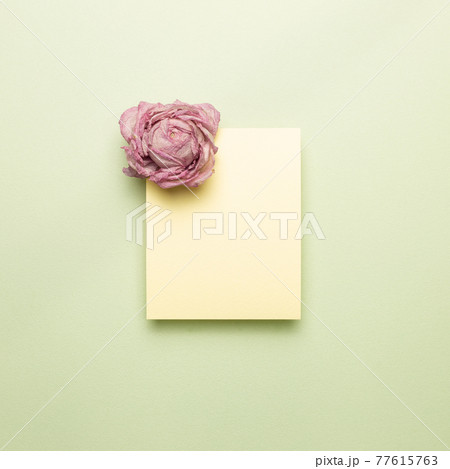 Memo pad with dry flower on light green background. top view, copy space Memo pad with dry flower on light green background. top view, copy space 77615763
