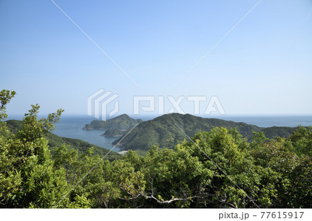 たちばな展望台(鵜倉園地)から見江島を望む 77615917
