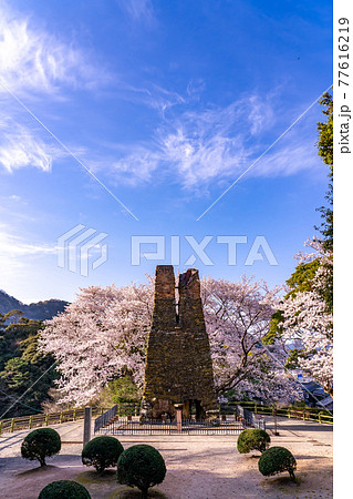 山口県萩市 満開の桜をバックの萩反射炉 山口県萩市 満開の桜をバックの萩反射炉 77616219