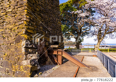 山口県萩市 満開の桜をバックの萩反射炉下部 山口県萩市 満開の桜をバックの萩反射炉下部 77616222
