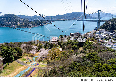 山口県下関市 春のトルコチューリップ園と関門海峡の眺め 山口県下関市 春のトルコチューリップ園と関門海峡の眺め 77616385