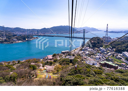山口県下関市 火の山公園からのトルコチューリップ園と関門海峡の眺め 山口県下関市 火の山公園からのトルコチューリップ園と関門海峡の眺め 77616388