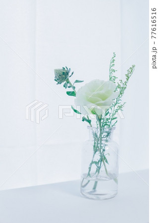 トルコキキョウの生け花の写真素材