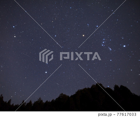 【長野県阿智村】富士見台高原ヘブンスそのはらの天空の楽園・日本一の星空ツアー。 77617033