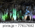 カラフルにライトアップされた三十槌の氷柱 77617682