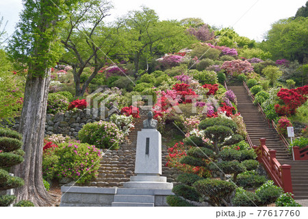 祐徳稲荷神社の外苑東山つつじ苑 77617760