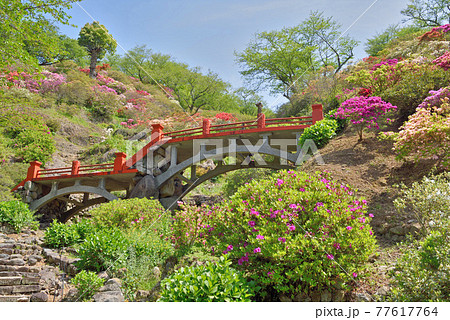 祐徳稲荷神社の外苑東山つつじ苑 祐徳稲荷神社の外苑東山つつじ苑 77617764