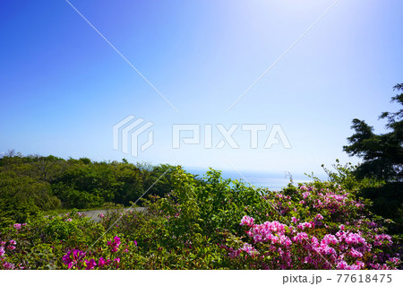 湯河原の星ヶ山公園からの景観 77618475