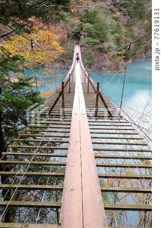 寸又峡夢の吊り橋 寸又峡夢の吊り橋 77619131