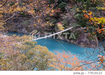 寸又峡夢の吊り橋 寸又峡夢の吊り橋 77619132