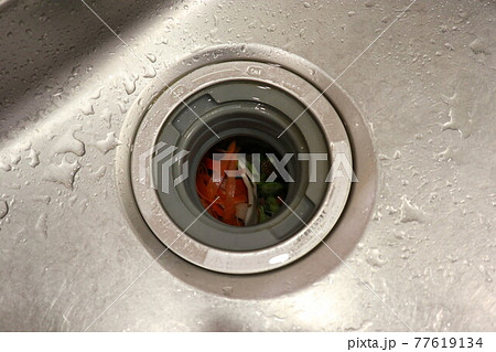 ディスポーザーで粉砕する前の野菜クズ 77619134