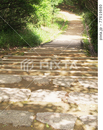 木漏れ日の散歩道の写真素材 [77619880] - PIXTA