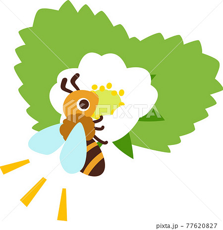 イチゴの花にとまるミツバチのイラスト素材 7767