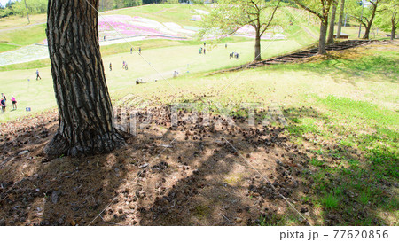 花と緑に囲まれて生涯スポーツ　秋田県横手市 77620856
