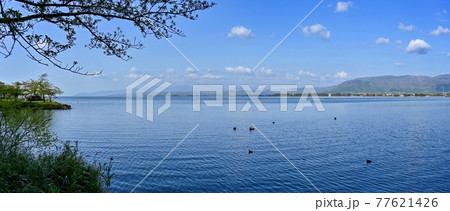 青空バックに新緑に包まれた山並みと琵琶湖のパノラマ情景＠滋賀 77621426