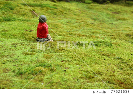 寂光院の庭園 寂光院の庭園 77621653