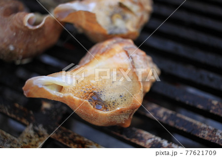 焼きたてのつぶ貝 77621709