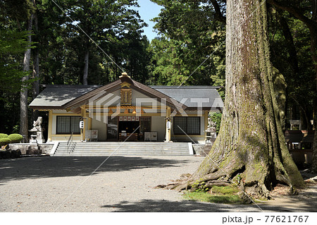 頭之宮四方神社 拝殿とご神木 頭之宮四方神社 拝殿とご神木 77621767