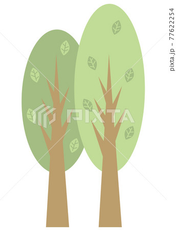2本の細長い木と数枚の葉  77622254