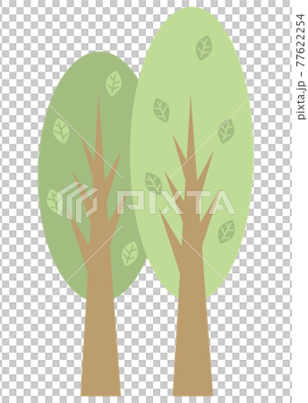 2本の細長い木と数枚の葉  77622254