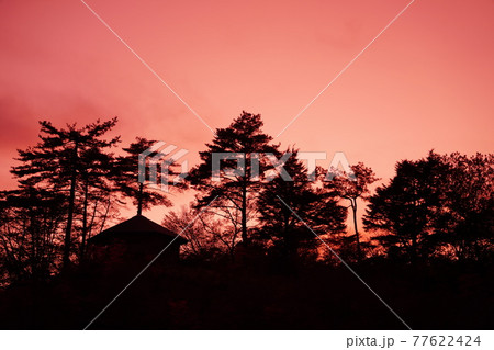 夕焼けに赤く染まる黒沢湿原 77622424