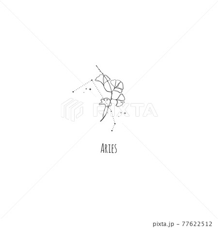 Aries Tattoo Ideas for Men and Women Design Inspirations and Meanings in  2023  Aries tattoo Aries constellation tattoo Star tattoos