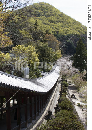 吉備津神社（回廊） 77622871