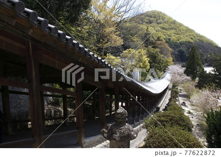 吉備津神社(回廊) 吉備津神社(回廊) 77622872