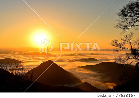 大江山からの福知山盆地の雲海 大江山からの福知山盆地の雲海 77623167