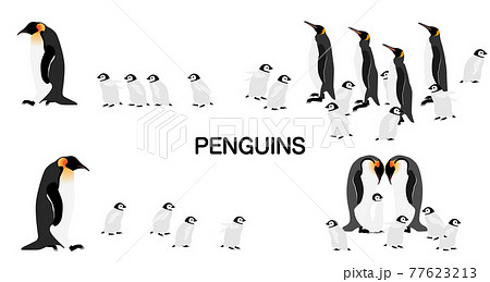 装飾素材 ペンギン のイラスト素材