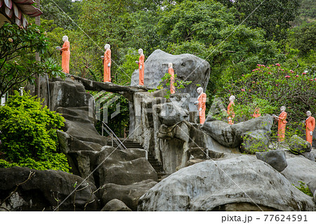 スリランカ ダンブッラの黄金寺院 僧侶像 スリランカ ダンブッラの黄金寺院 僧侶像 77624591
