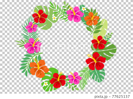 Hibiscus and tropical summer background frame 77625137