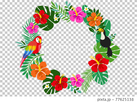 Hibiscus and tropical summer background frame 77625138